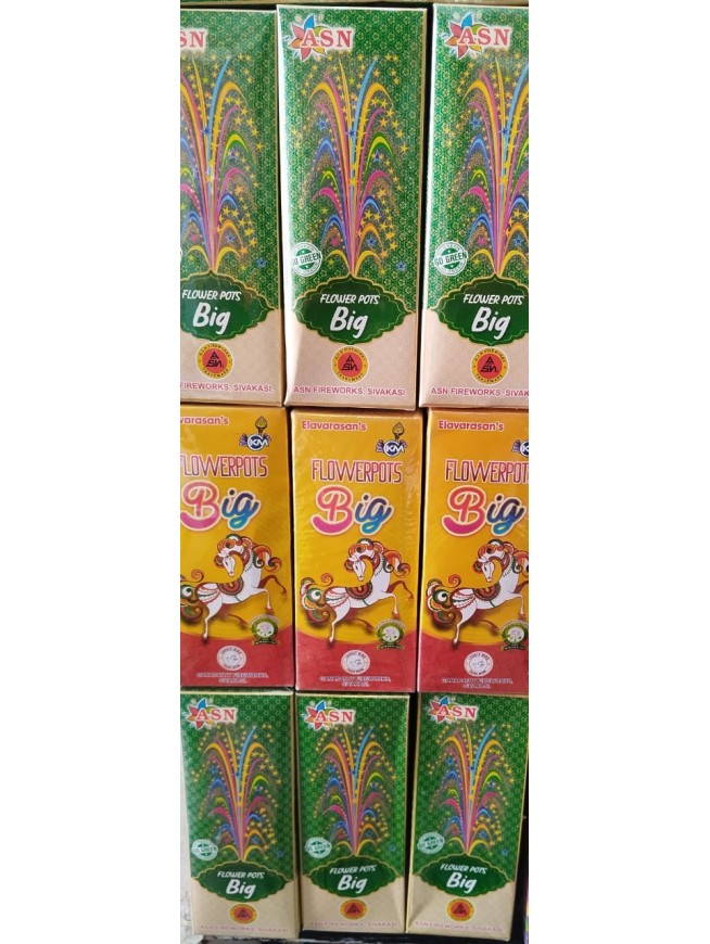 Gold Coin (5 Pcs)